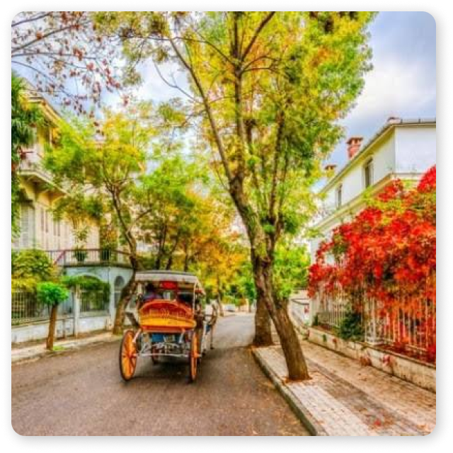 turkey tourism اسطنبول صبنجا صفنجا بورصا كابادوكيا ازميت جزر الاميرات  صبنجة سبنجا
                  سبانجا
                  صفنجة
                  صمنجة
                  بورسا
                  بورصه
                  يالوفا
                  بيت المقلوب
                  مطل 
                  قمر
                  ترانسفير
                  مطار
                  استقبال
                  توديع
                  خاصه
                  VIP
                  vip
                  اماكن
                  سياحية
                  تذاكر
                  طيران
                  حجوزات
                  سفر
                  رحله
                  بورصا بورصة الخضراء
                  يلوفا يلوا
                  رحل
                  رحلاتك
                  رحلاتي
                  رحلة 
                  رحلات
                  سياحة
                  كوخ
                  اكواخ
                  بيوت خشبية
                  انطاليا
                  فتحية
                  طرابزون
                  ترابزونسياحة يالوفا يلوفا تركيا